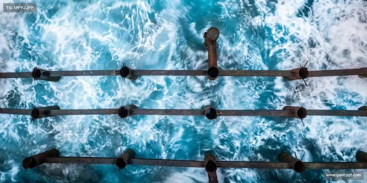 米兰milan汗水不会说谎,努力终有回响!💦